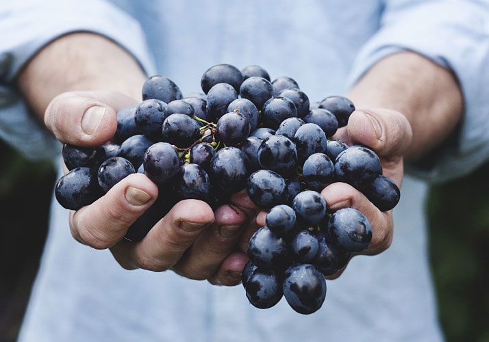 man holding grapes