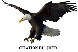 artfichier 548761 5472916 201602121356225